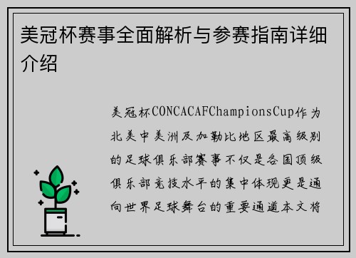美冠杯赛事全面解析与参赛指南详细介绍